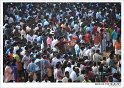 uthralikkavu_pooram (10)
